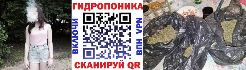 Бошки Шишки MAZAR  Купить закладки  Сураж 